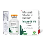 Triaxon-SB 375